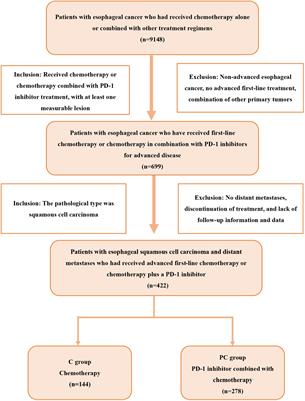 PD-1 inhibitor combined with chemotherapy for first-line treatment of esophageal squamous cell carcinoma patients with distant metastasis: a real-world retrospective study